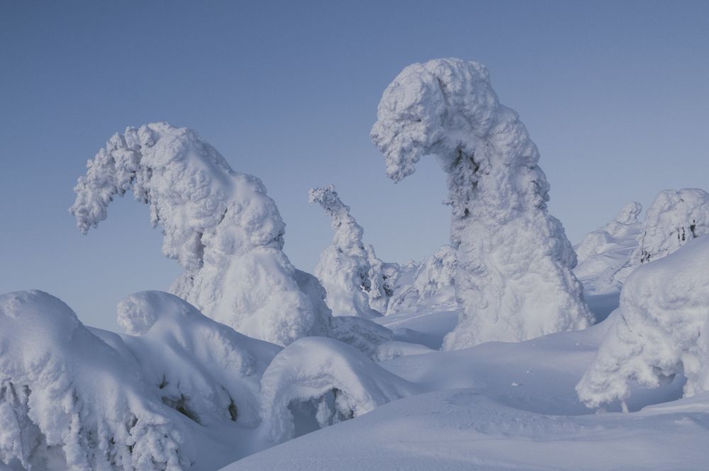 Photograph by Дмитрий Геращенко
