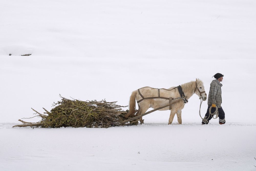 Photograph by HALUK YURTÖREN