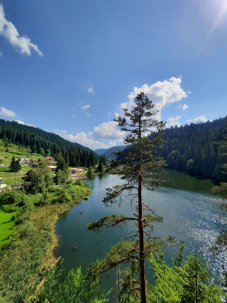 Photograph by Onofrei Dragos