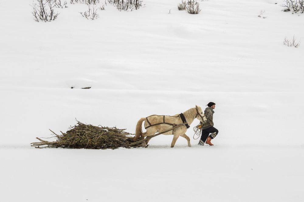 Photograph by HALUK YURTÖREN