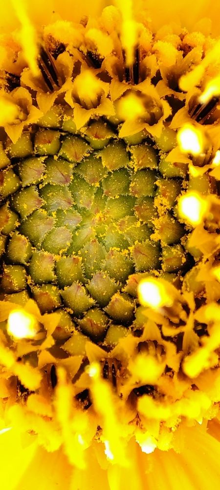 Photograph by Ирина Данилова