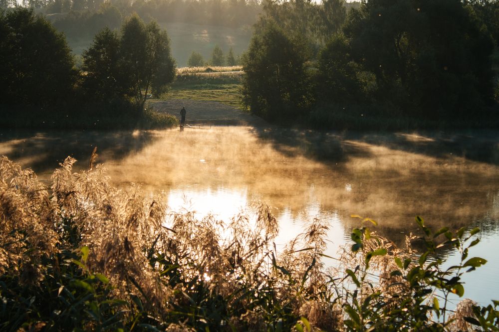 Photograph by Екатерина Федотова