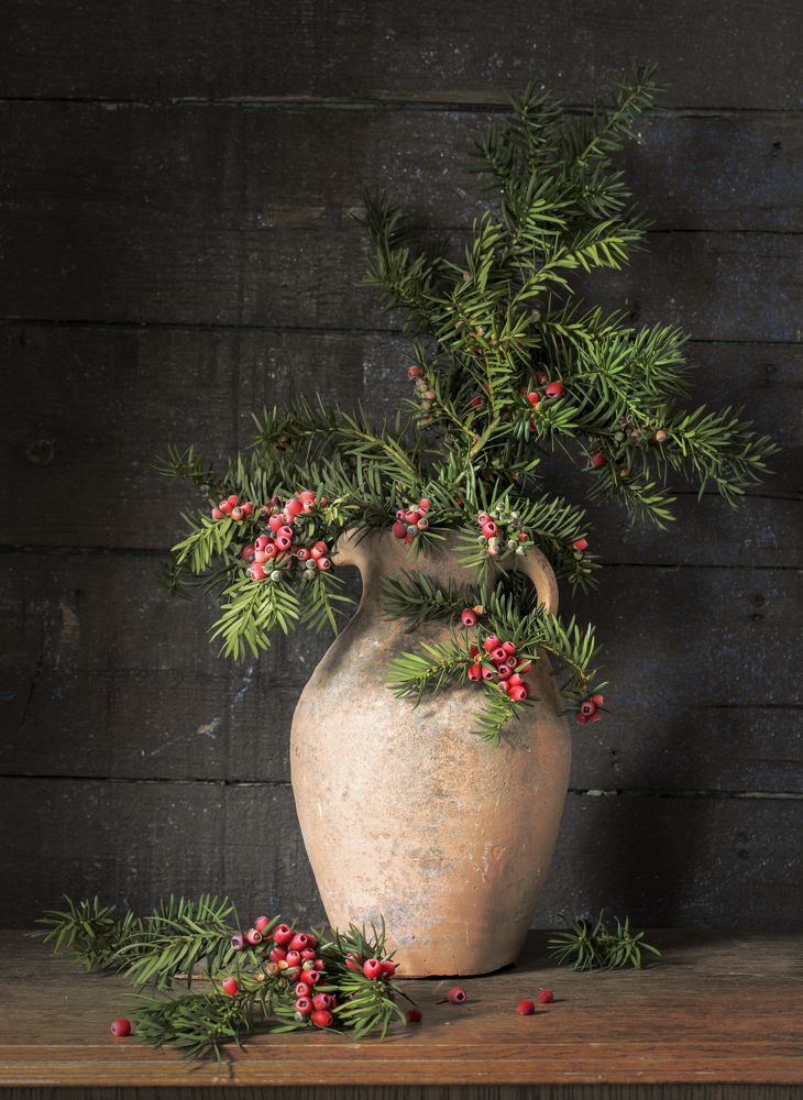 Фотография автора Uljana Kuchar