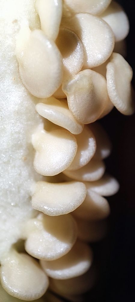 Photograph by Ирина Данилова