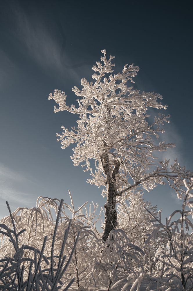 Photograph by Марьям Цимбельман