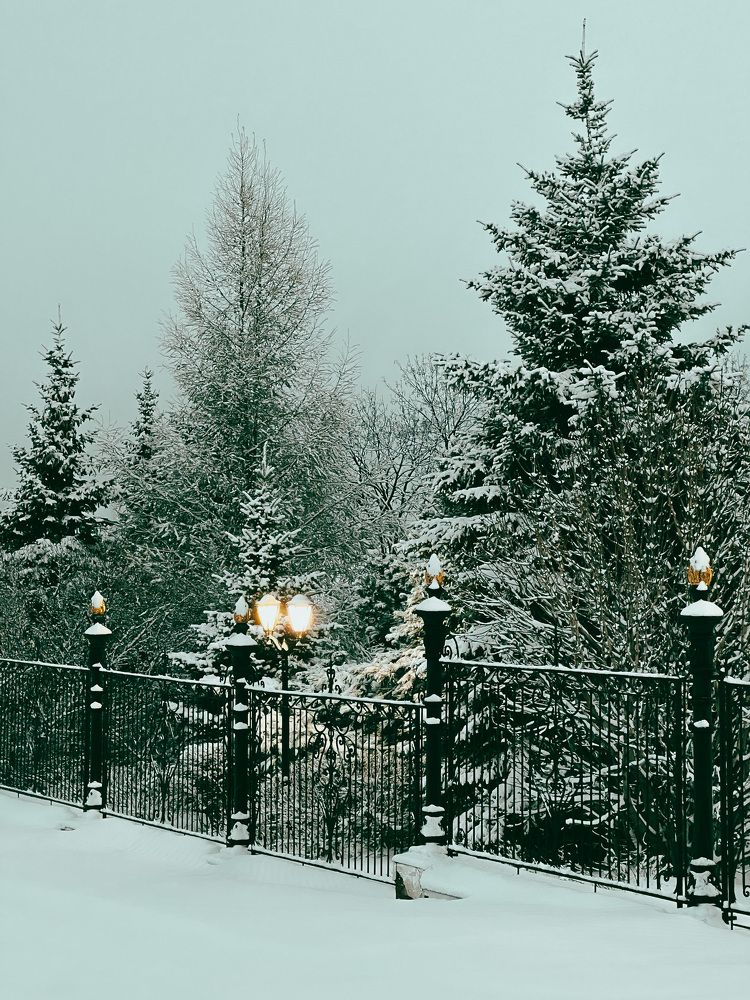 Photograph by Elvira