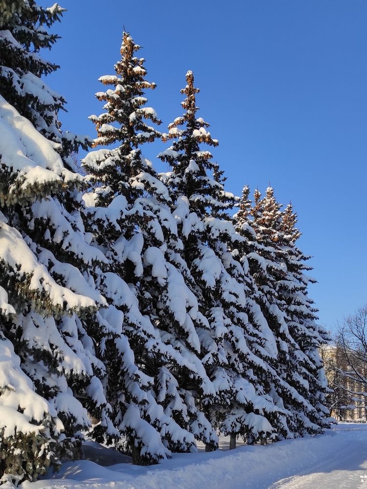 Photograph by Helen Ka