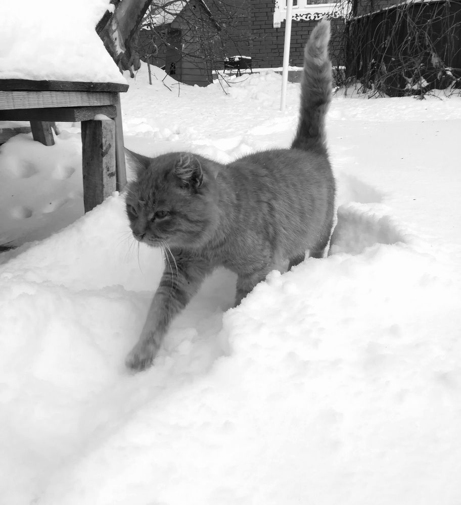 Photograph by Мария