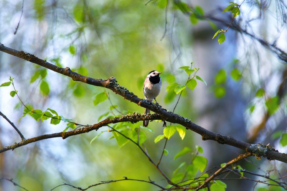 Photograph by Вячеслав Ригачин