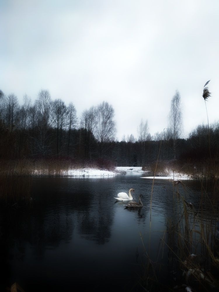 Photograph by Евгений Белов