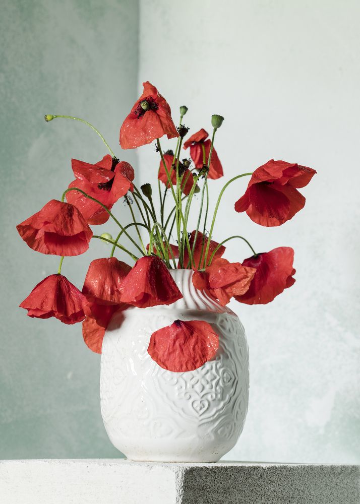 Фотография автора Uljana Kuchar