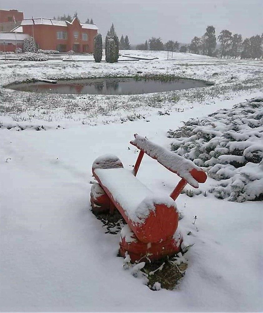 Photograph by Inna Oshe