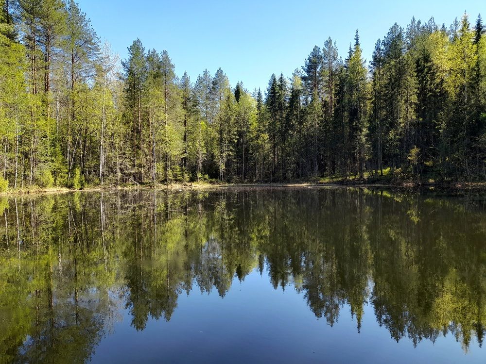 Photograph by Ольга Березовская