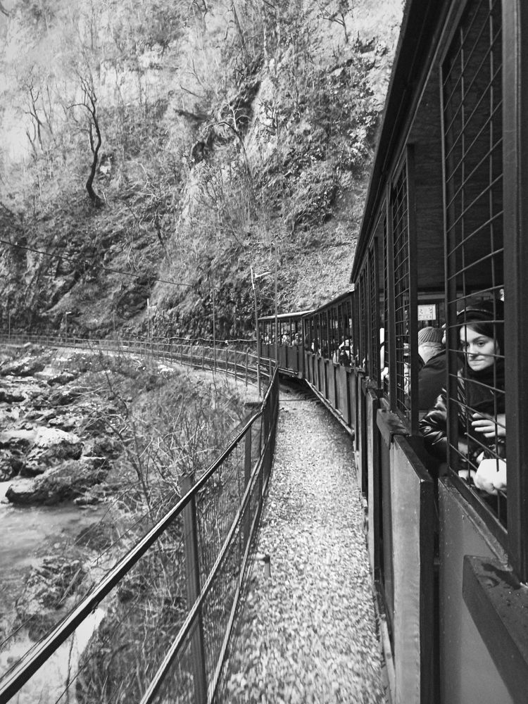 Photograph by Татьяна Долгушева