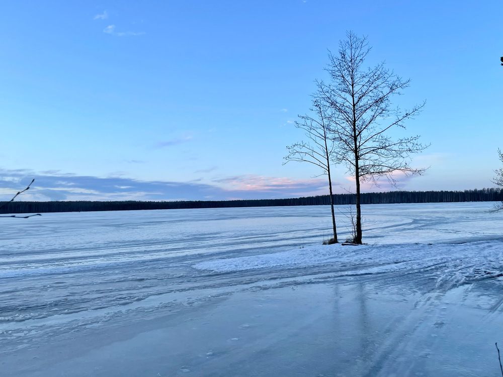 Photograph by Константин Д