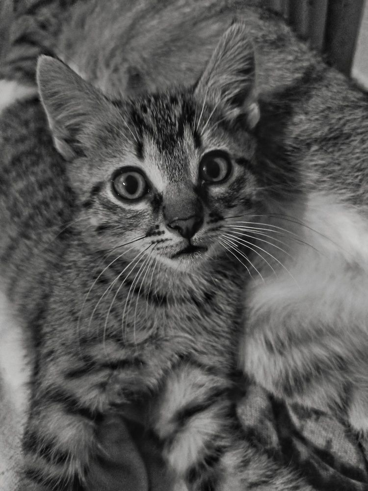 Photograph by Татьяна Долгушева