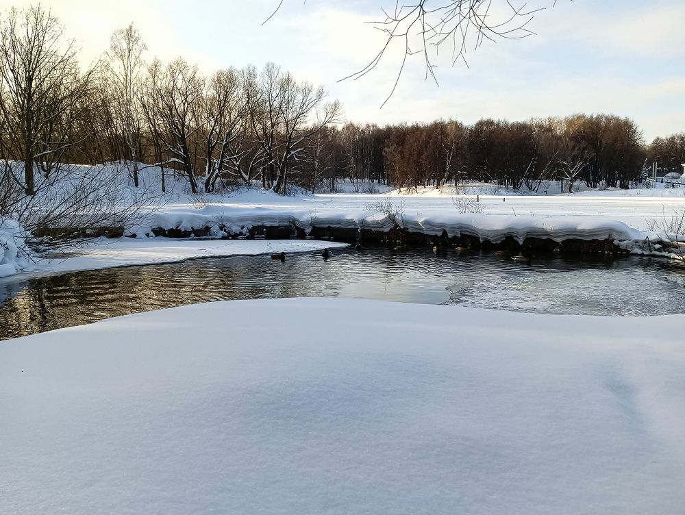 Зимний парк