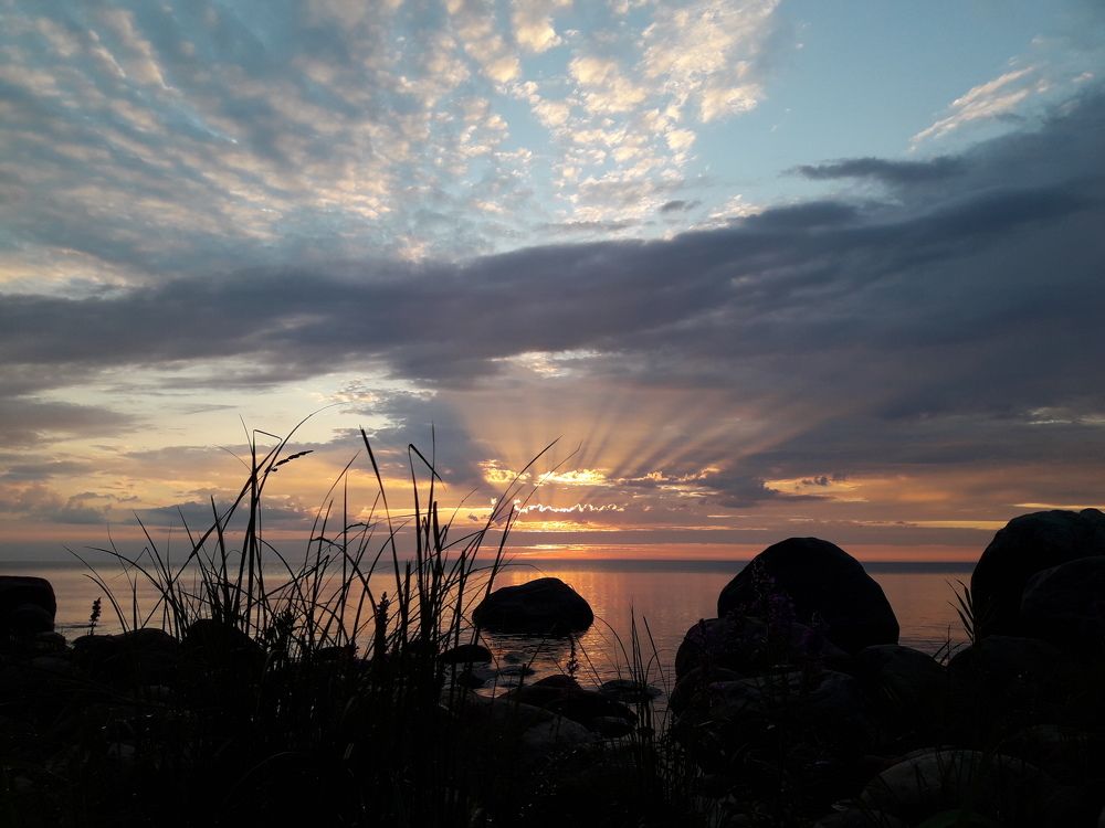 Photo #8600652