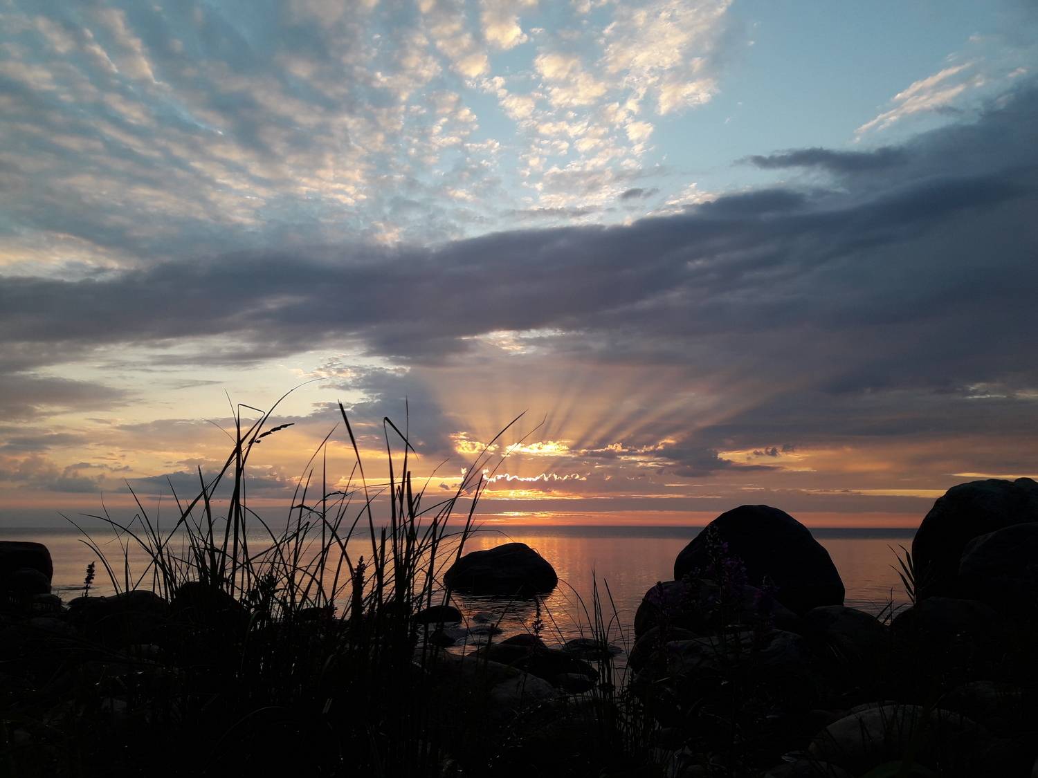 Photo #8600652