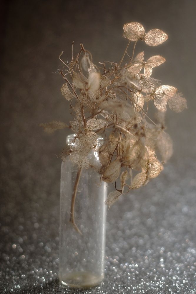 Photograph by Алла Никушкина