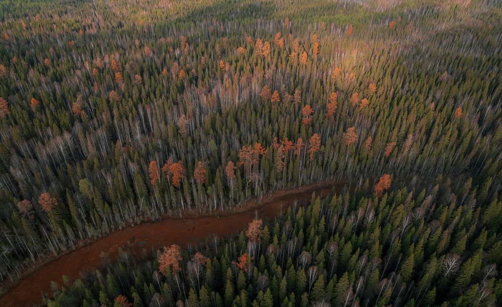 Photograph by Владислав Трушков