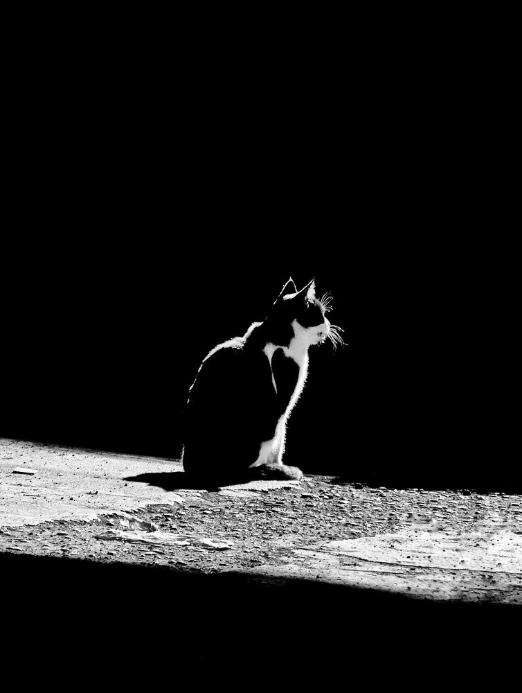 Photograph by Khosro Sayadi