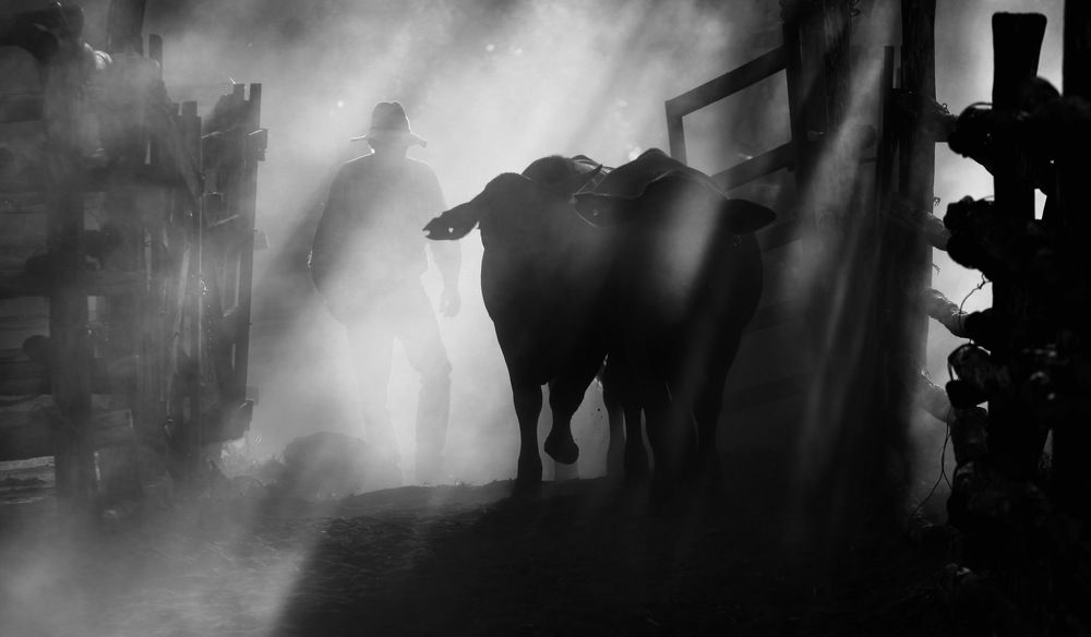 Photograph by Paula Heelan