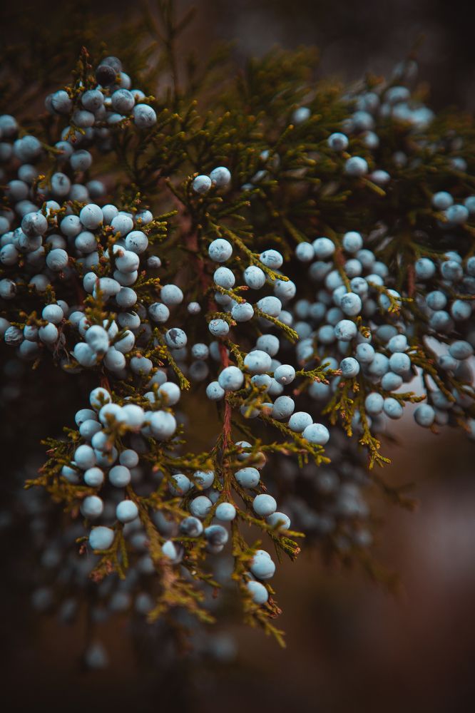 Photograph by Ирина Панкова