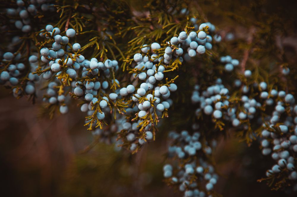 Photograph by Ирина Панкова