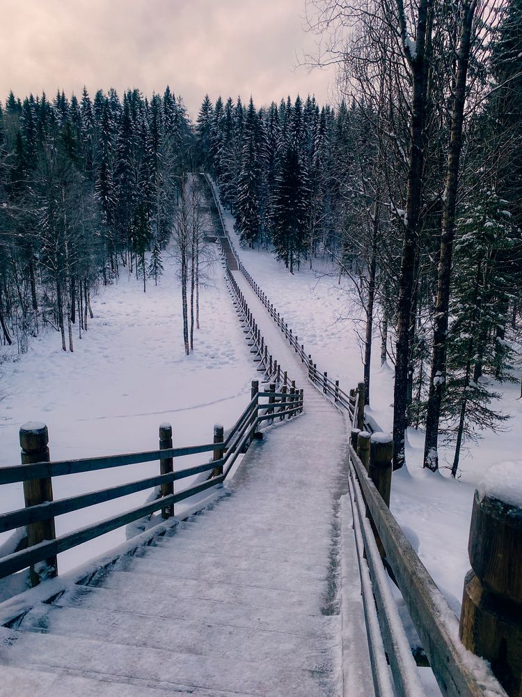 Photograph by Мария Васильева