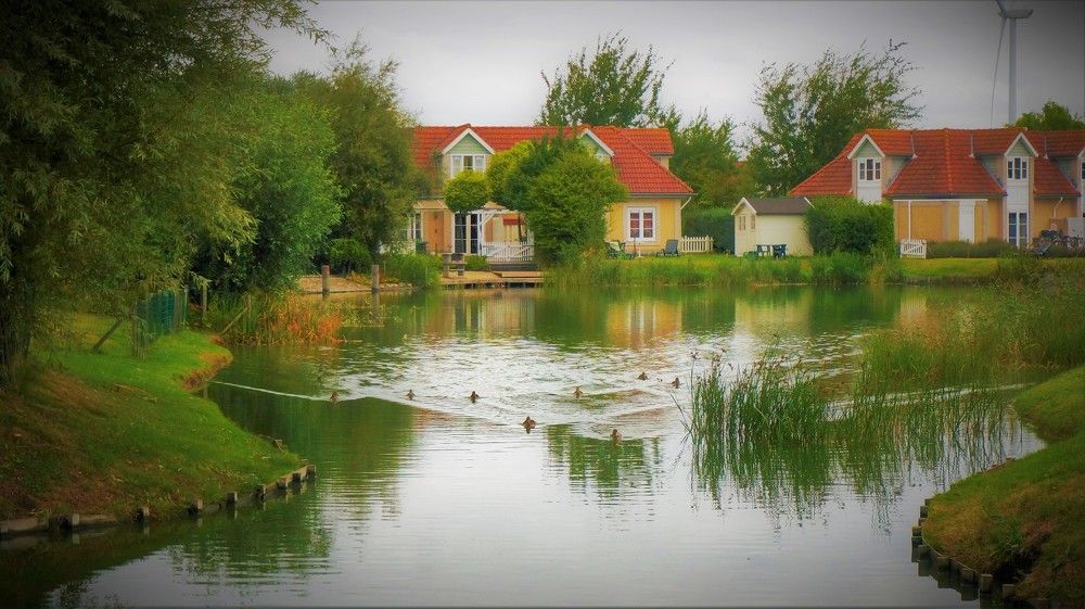 Photograph by Inna Oshe