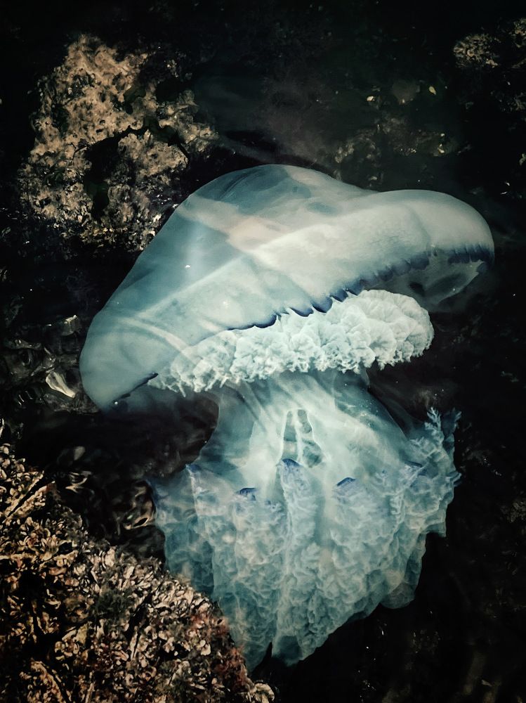 Photograph by Анна Адаменко