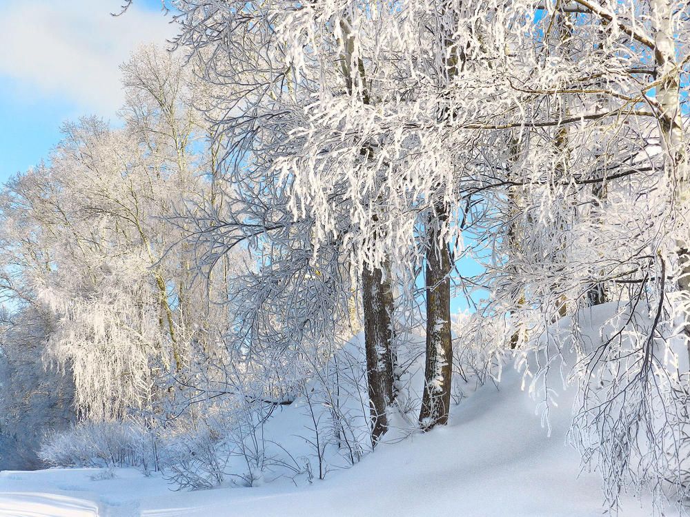 Photograph by Николай Хлебников