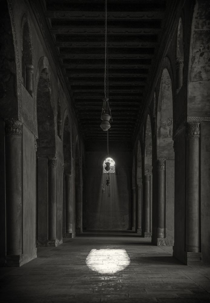 Фотография автора Sherine El Mously