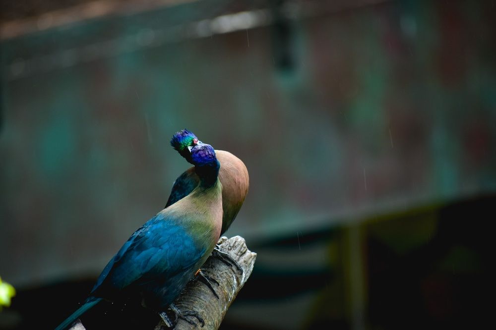 Фотография автора Sakthi Ganesh