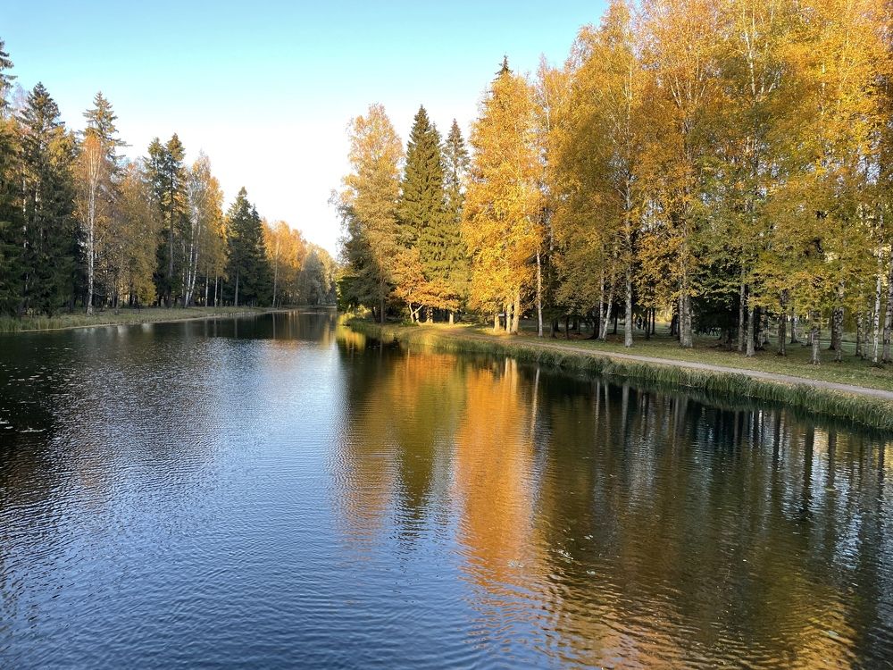 Photograph by Александра Кулеш