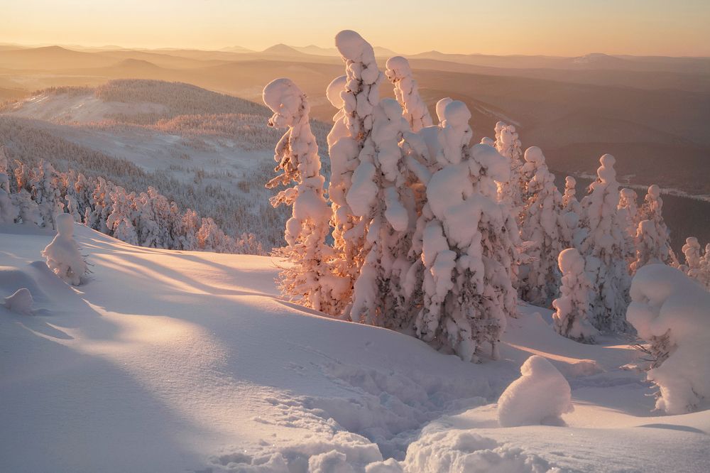 Photograph by Александр Нерозя