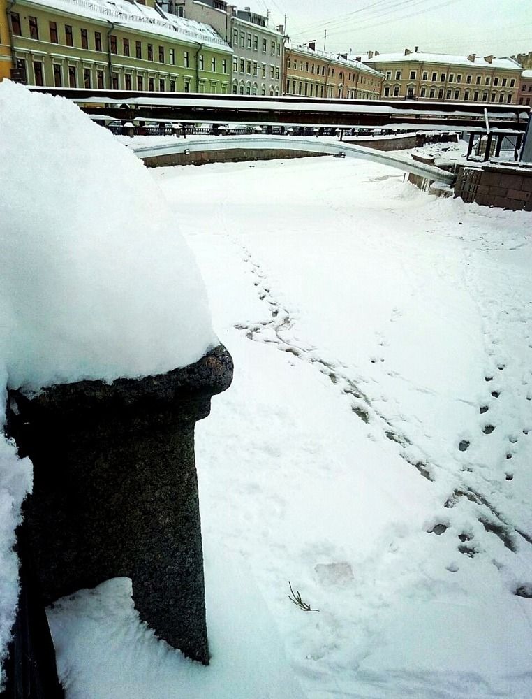 Photograph by Кристина Шмырева