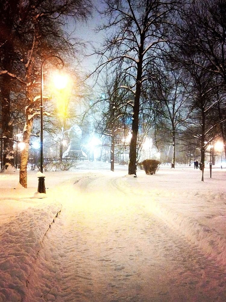 Photograph by Кристина Шмырева