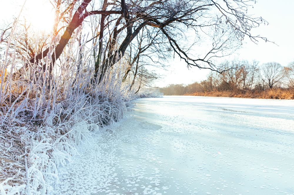 Photograph by Максим Дорошенко