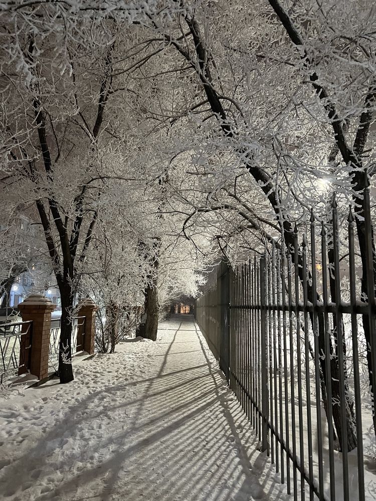 Зимний вечер