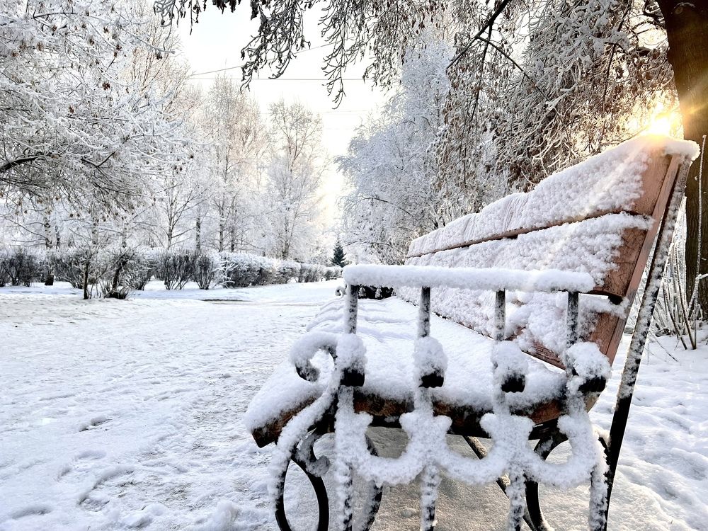 Снежный пейзаж