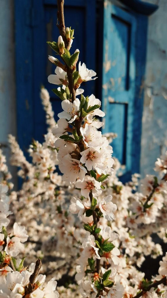 Фотография автора Анна Морозова