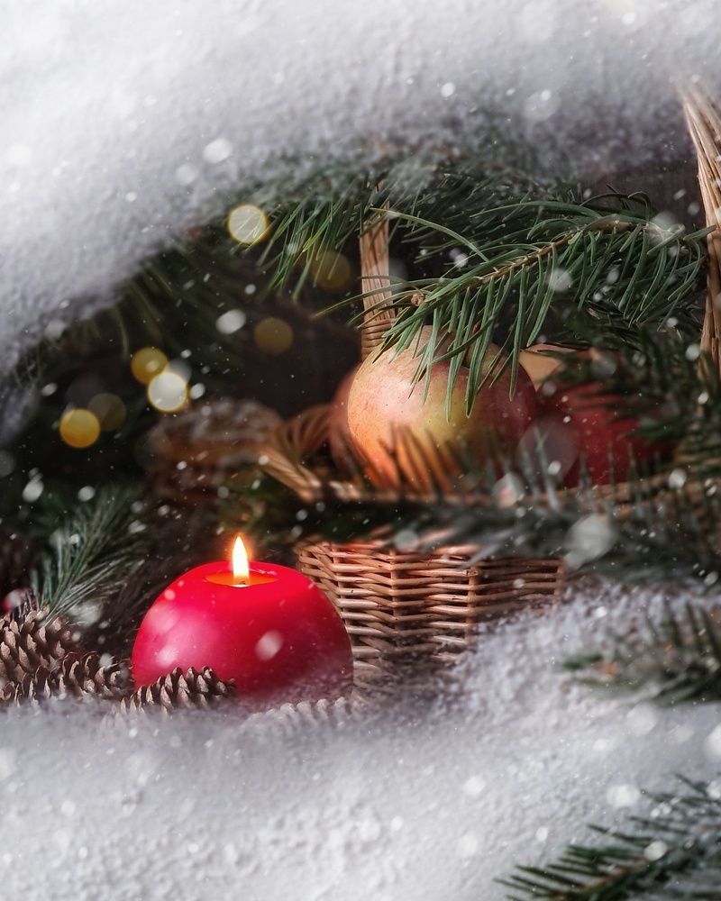 Photograph by Людмила Григорьева