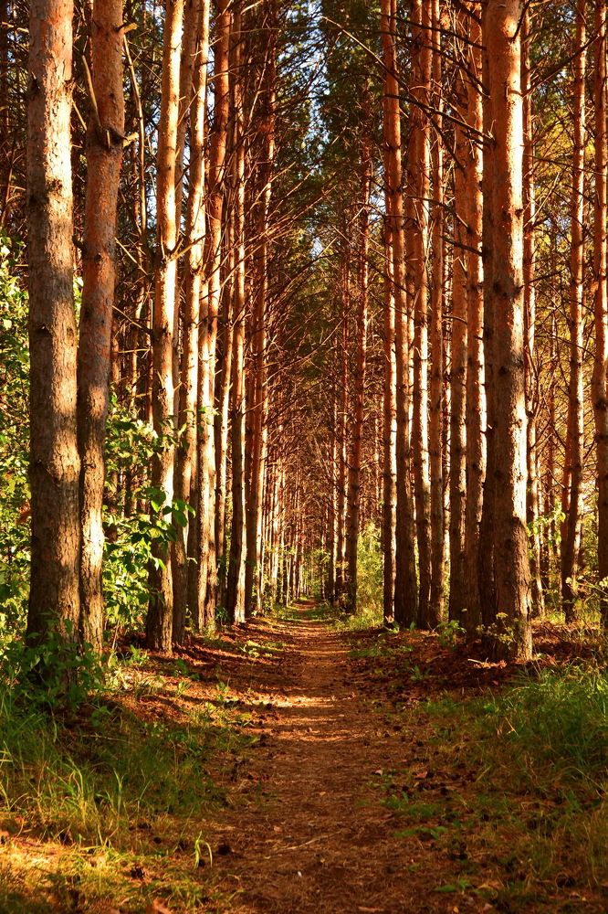 Photograph by Andrey