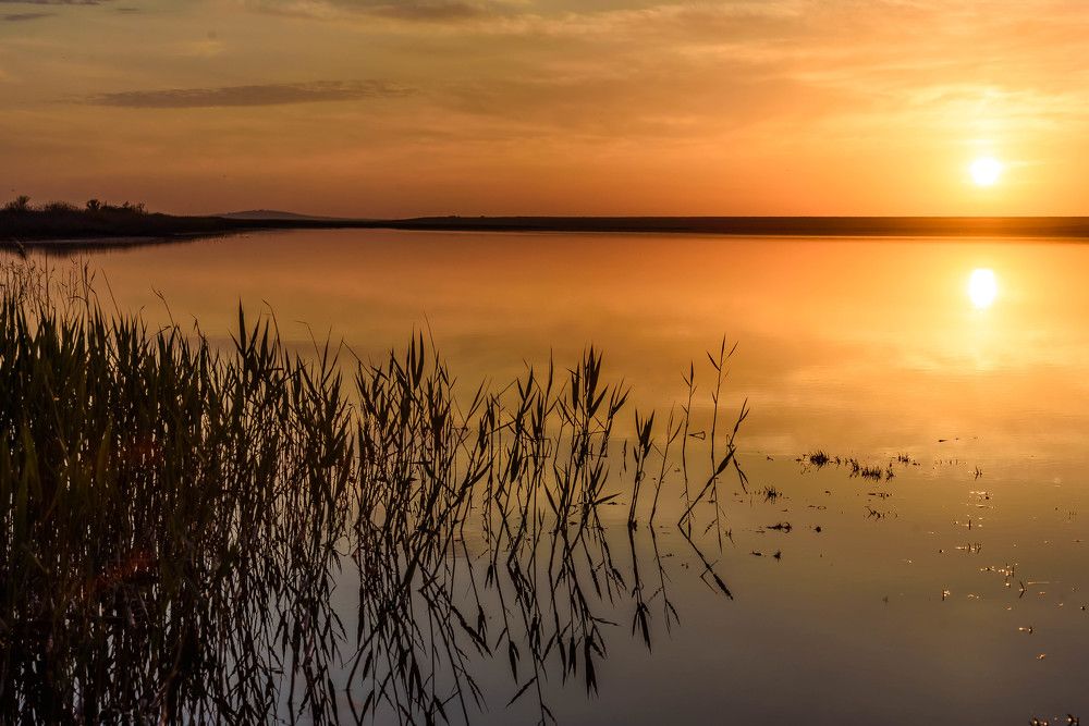 Photograph by Uliya Krakos