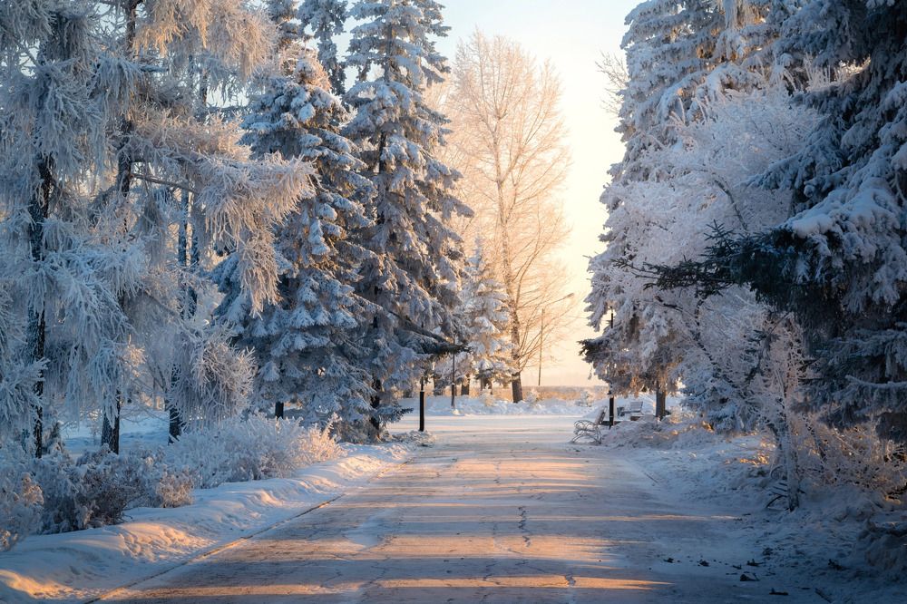 Photograph by Екатерина Назарова