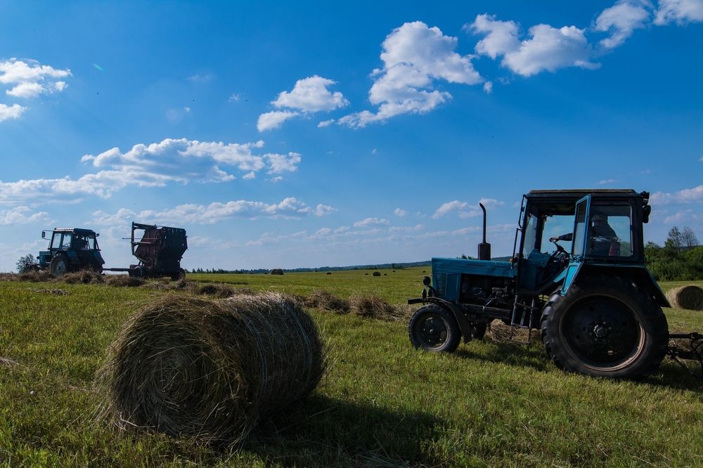 Photograph by Ольга Сафронова