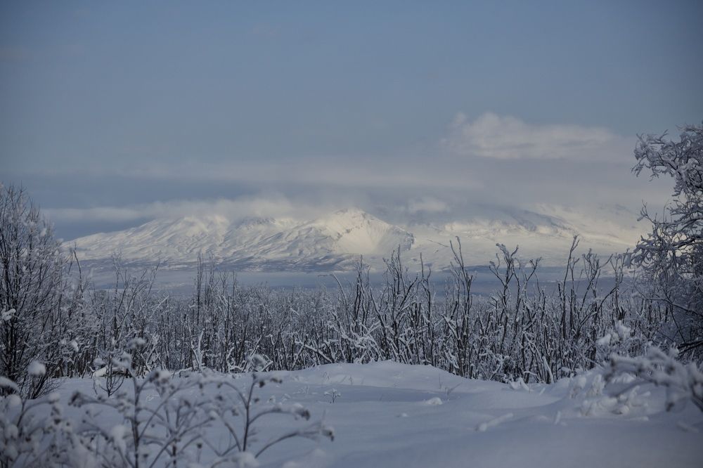 Photograph by Dmitriy Marchenko