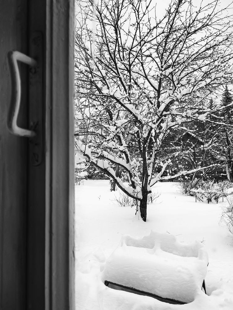 Вид из окна на заснеженный сад.